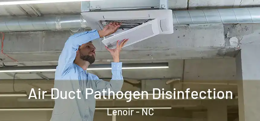 Air Duct Pathogen Disinfection Lenoir - NC