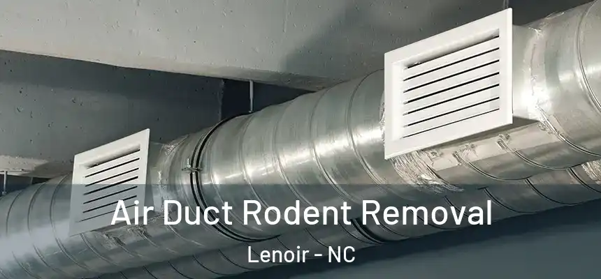 Air Duct Rodent Removal Lenoir - NC