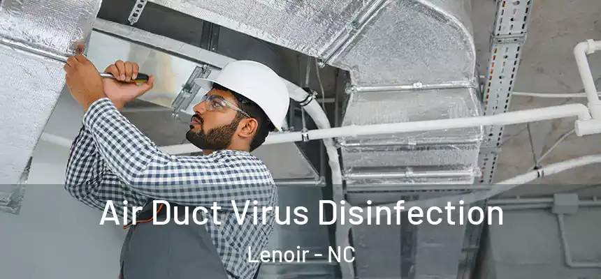Air Duct Virus Disinfection Lenoir - NC
