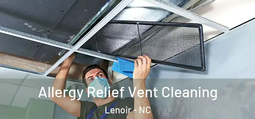  Allergy Relief Vent Cleaning Lenoir - NC
