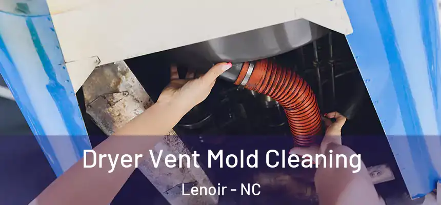  Dryer Vent Mold Cleaning Lenoir - NC