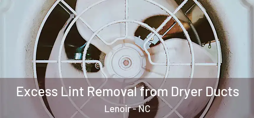 Excess Lint Removal from Dryer Ducts Lenoir - NC