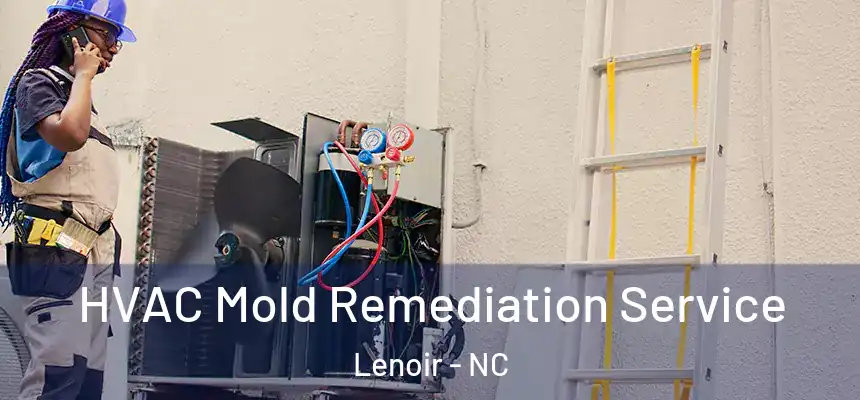 HVAC Mold Remediation Service Lenoir - NC