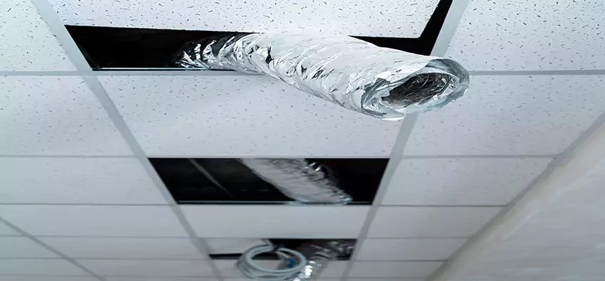 Our Air Duct Pet Hair Removal Services in Lenoir, NC