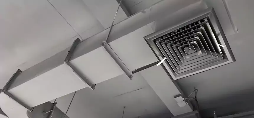 Restorative Allergy Relief Vent Cleaning – Coil, Blower & Housing Detail in Lenoir