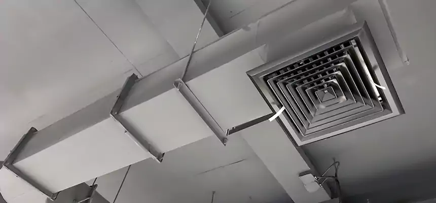 Our Pest Removal From Ducts Services in Lenoir, NC