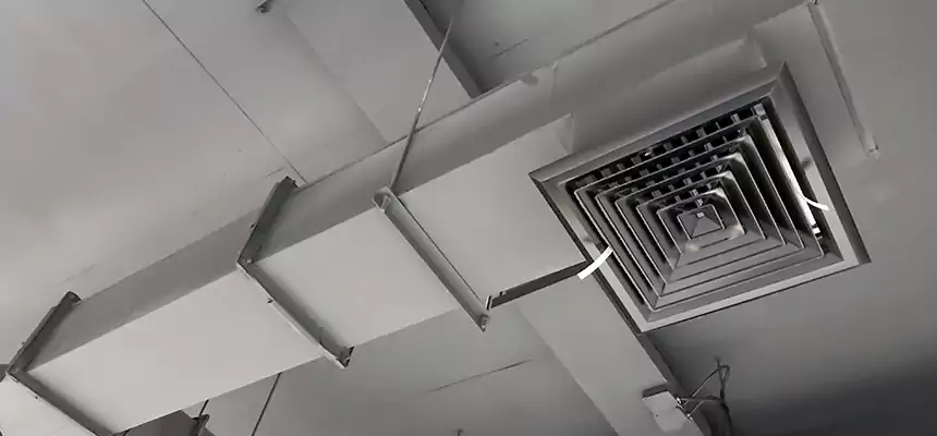 Our Rodent Droppings In Vents Services in Lenoir, NC