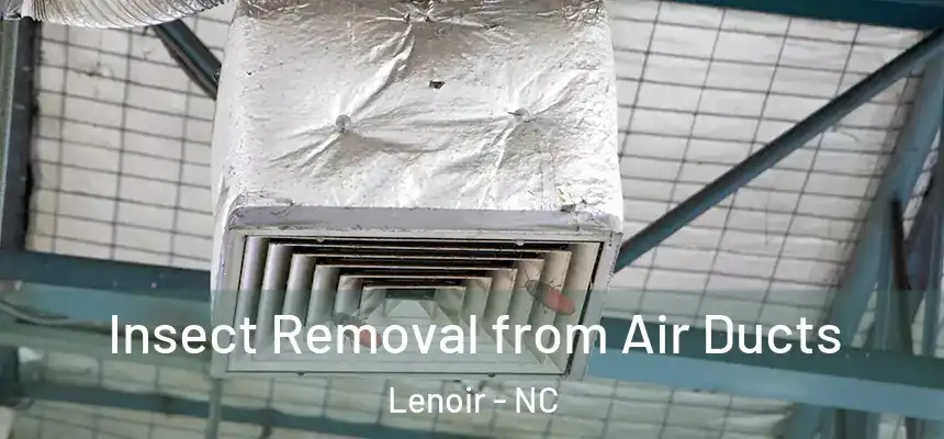 Insect Removal from Air Ducts Lenoir - NC