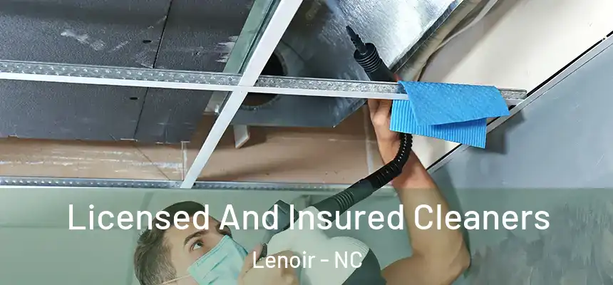 Licensed And Insured Cleaners Lenoir - NC