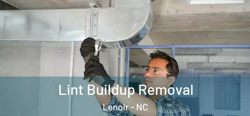  Lint Buildup Removal Lenoir - NC