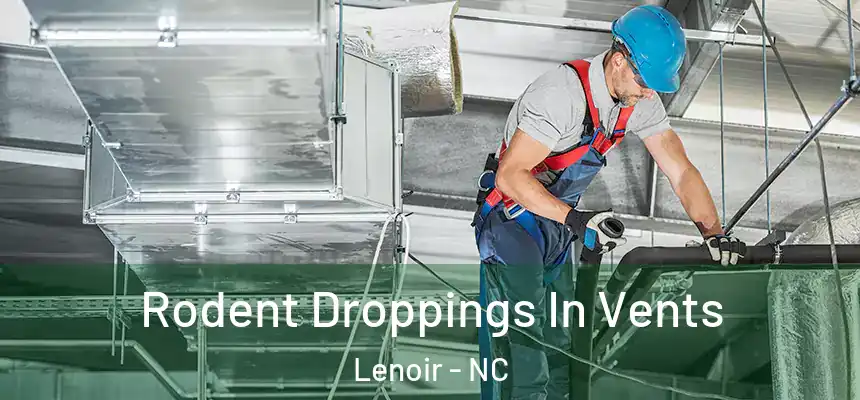 Rodent Droppings In Vents Lenoir - NC