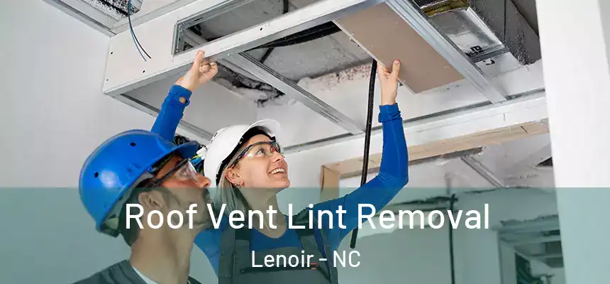 Roof Vent Lint Removal Lenoir - NC
