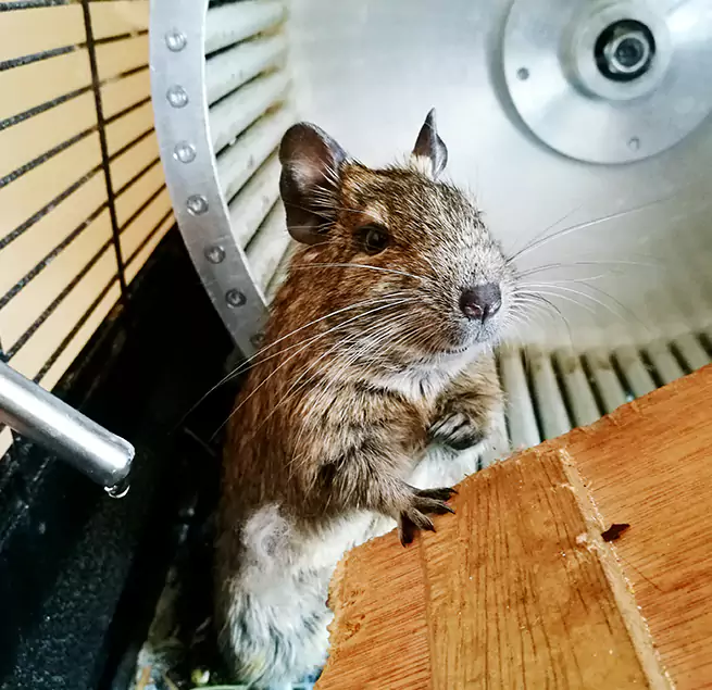 Why Homeowners & Businesses Trust Us Lenoir, NC