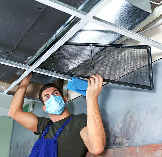 Why Homeowners Businesses Trust Us in Lenoir, NC