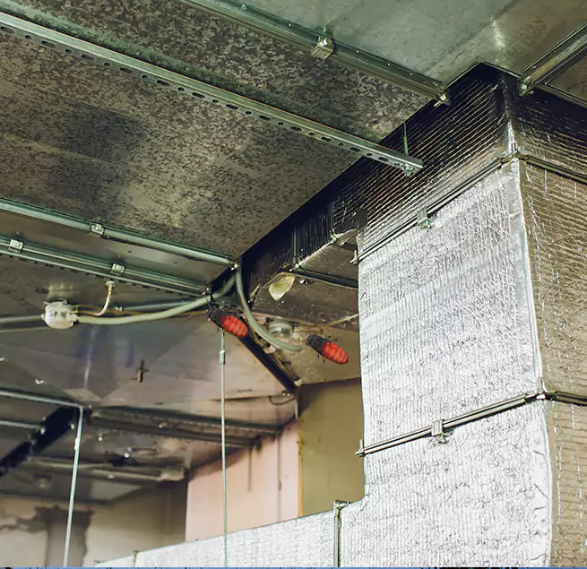 Why Homeowners & Businesses Trust Us Lenoir, NC?