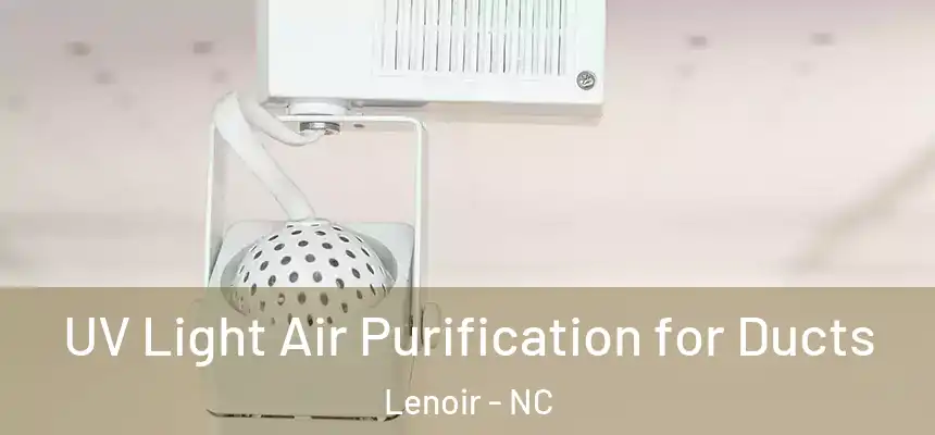  UV Light Air Purification for Ducts Lenoir - NC