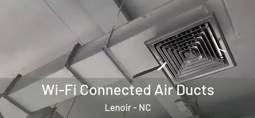 Wi-Fi Connected Air Ducts Lenoir - NC